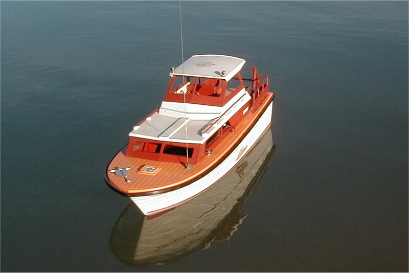 Cytra Ambassador